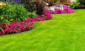 ¿Cuál es el modelo de jardín ideal para su casa?