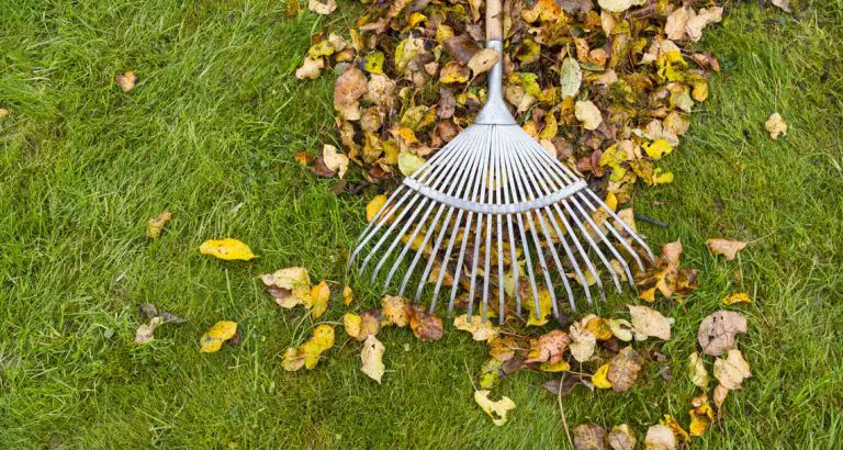 19 Ideas fáciles y creativas para hacer dinero en su casa urbana