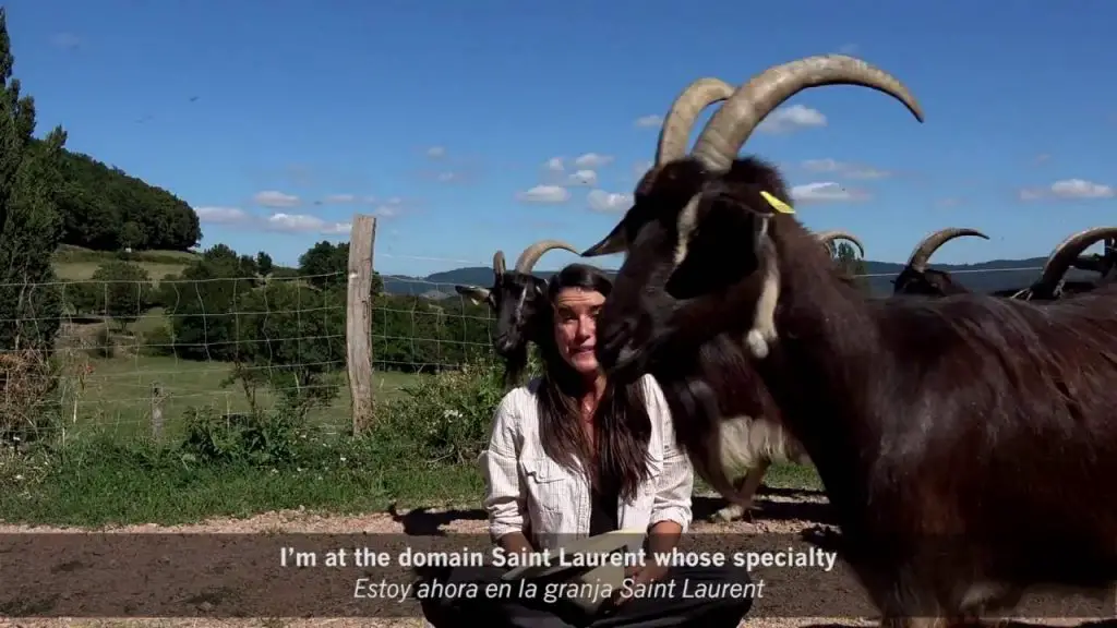 13 ideas para construir un alto túnel de bricolaje en tu jardín