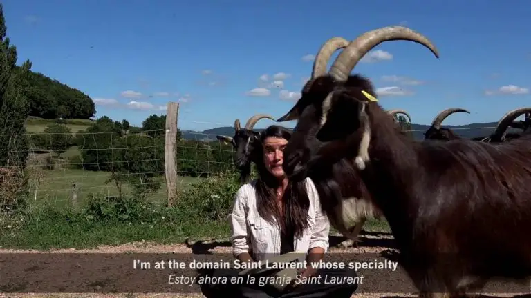 13 ideas para construir un alto túnel de bricolaje en tu jardín