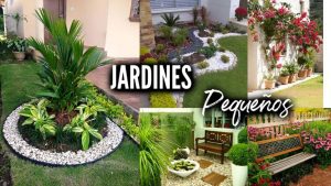 Fotos de jardín para casas y apartamentos