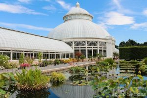 Jardín Botánico: historia y lista de sitios
