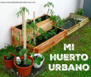 Jardín urbano: cómo crear