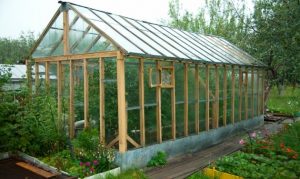 Las ventajas de tener un invernadero de jardín