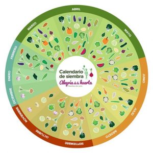 Mes a mes: lo que hay que plantar en el jardín