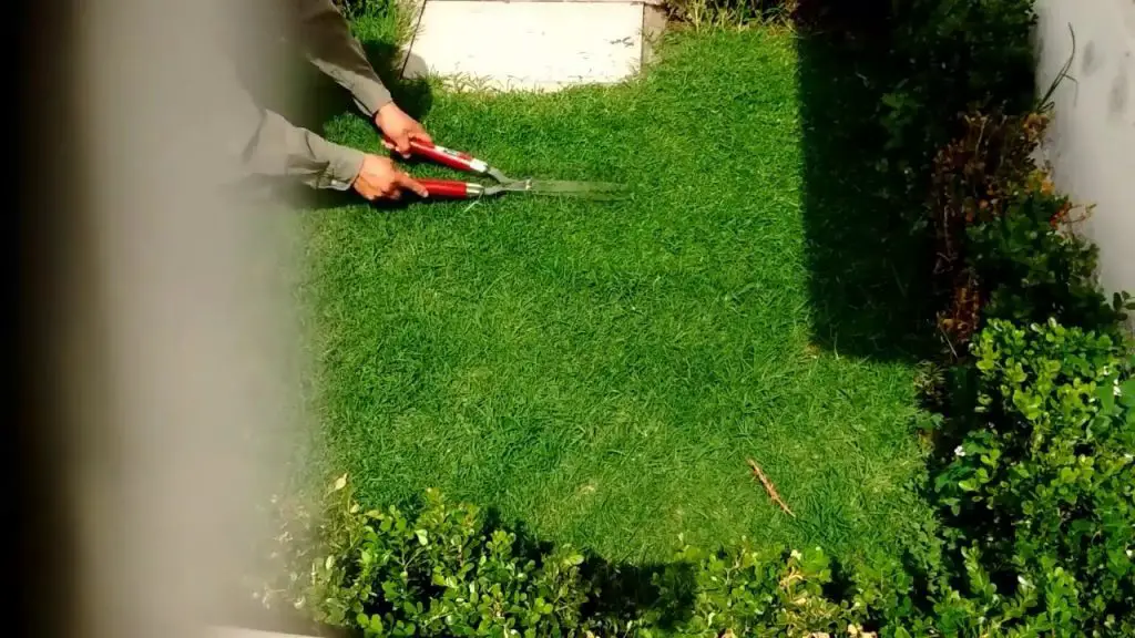 Imágenes de paisajes naturales contemplados desde las casas - Consejos