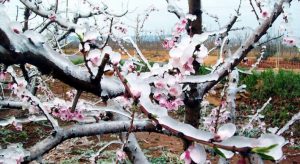 Proteger el sistema de irrigación de las heladas