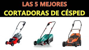 ¿Qué cortadora de césped es la mejor para su jardín