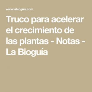 Un simple truco para acelerar el crecimiento de las plantas y hacer que se vean hermosas