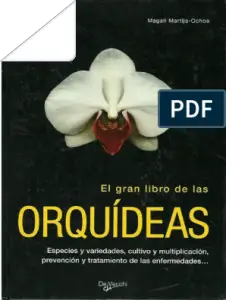 5 ideas preconcebidas sobre el cultivo de orquídeas