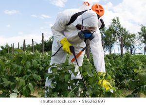¿A favor o en contra de los herbicidas orgánicos?