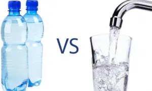 ¿Agua del grifo o agua embotellada?