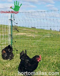 Añadiendo pollos a tu corral