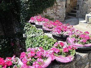 Arbustos para dar la bienvenida a los pájaros