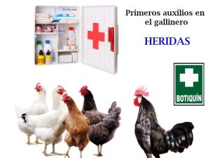 Botiquín de Primeros Auxilios para Pollos Naturales