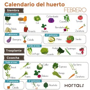 Calendario de cultivo de berenjenas