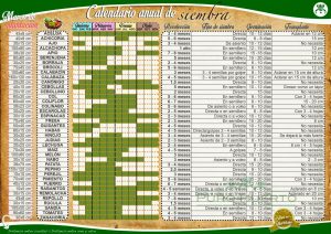 Calendario de siembra de plantas anuales
