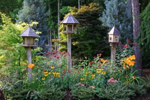 ¿Cómo arreglas tu jardín para los pájaros?