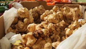 ¿Cómo cosechar, almacenar y cocinar las alcachofas de Jerusalén?