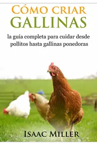 Cómo cuidar de los pollos - Guía para principiantes de pollos