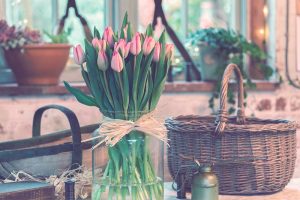 ¿Cómo hacer que tu jardín de tulipanes sea un éxito?