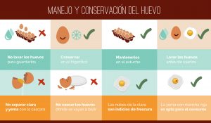 Cómo lavar y almacenar de forma segura los huevos de pollo