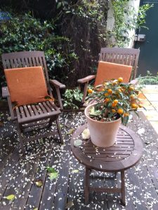 Dando la bienvenida a los amigos del jardinero