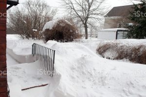 El jardín después de la nieve