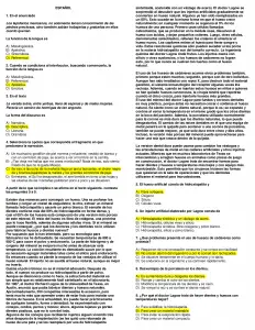 La abeja carpintera o abeja xilópata