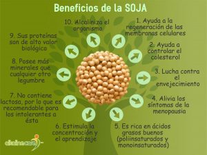 Los beneficios de la soja