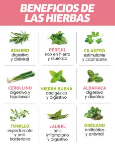 Los beneficios de las hierbas