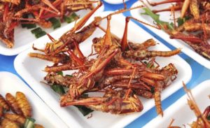 Los insectos en el menú