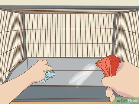 Mantén tu gallinero oliendo fresco y limpio