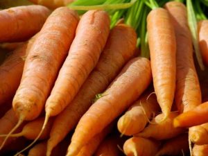 Preguntas frecuentes sobre las zanahorias