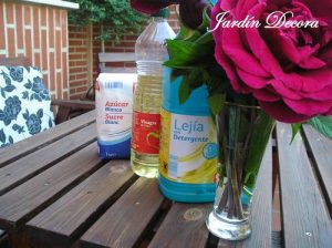 Preservar las flores cortadas