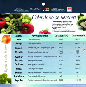 ¿Qué vegetales sembrar en otoño?