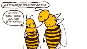 Reconocer las enfermedades en la colmena