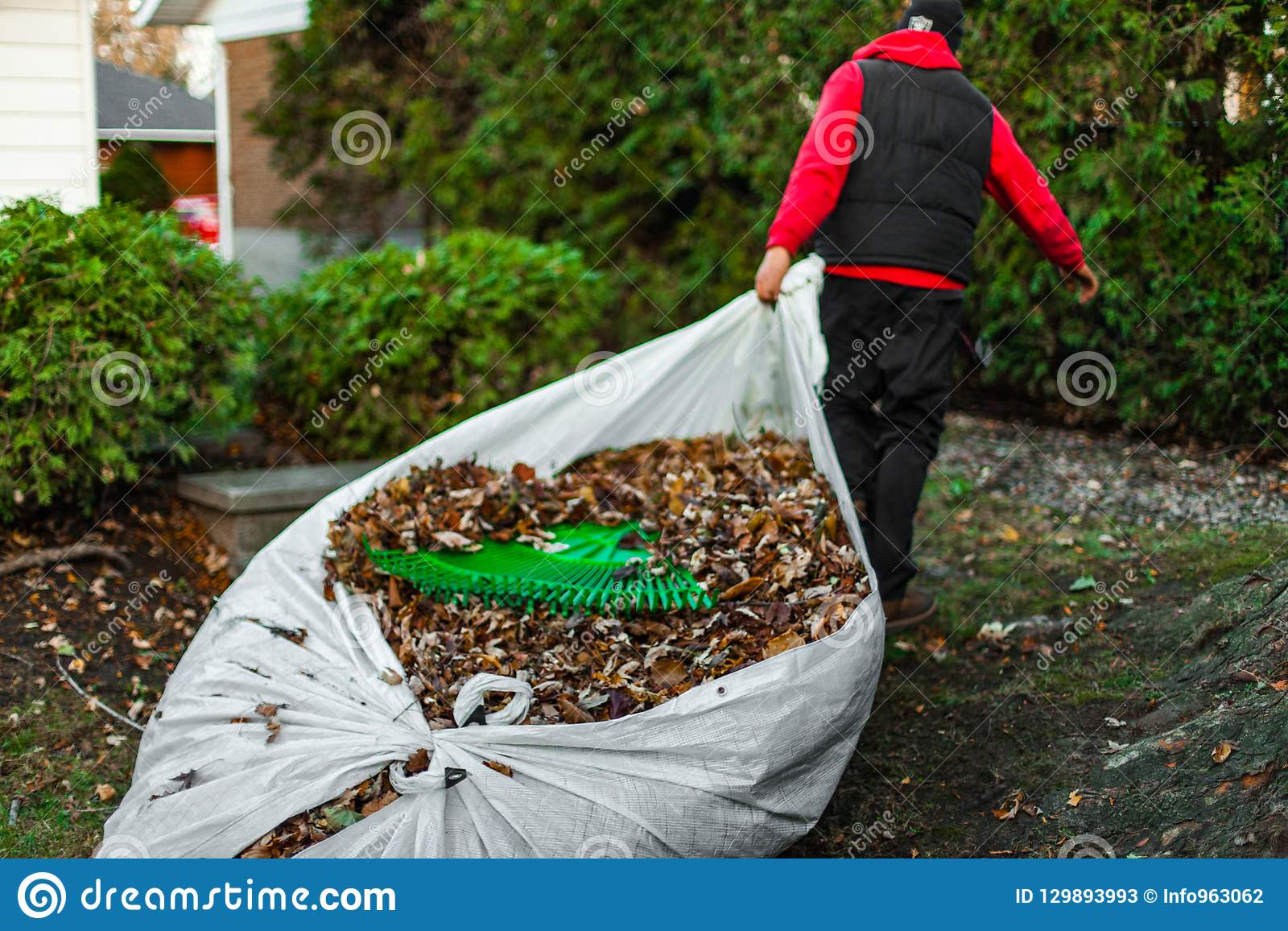 Usando hojas muertas Consejos para mi huerto
