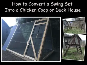 Cómo convertir un juego de columpios en un gallinero o una caseta para patos