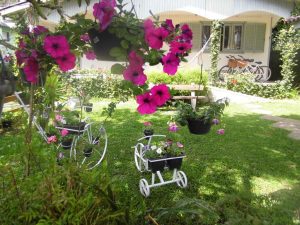 ¿A quién le importa?