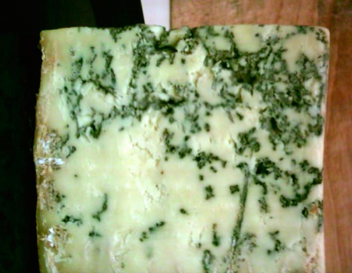 Moho en la producción de queso Brie y Camembert (Penicillium camemberti)