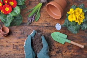 Artículos esenciales para el cultivo.