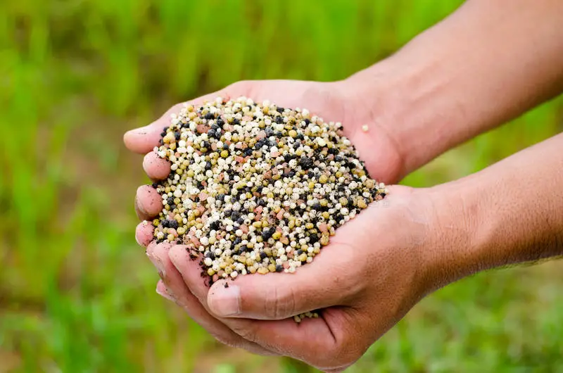 fertilizante químico