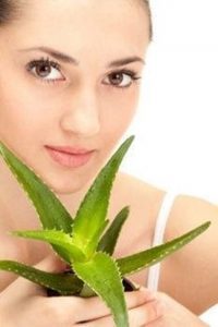 Aloe para adelgazar