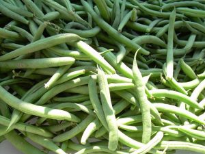 Cómo almacenar judías verdes