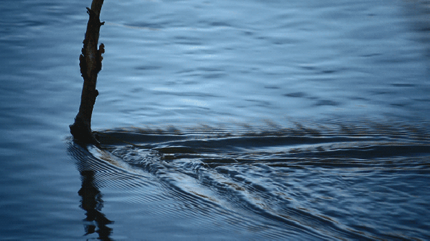 current_33 current_33