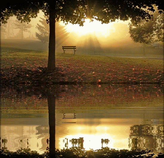 tarde en el lago