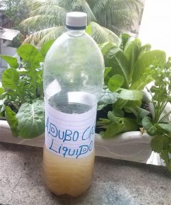 Aprenda a hacer fertilizante líquido