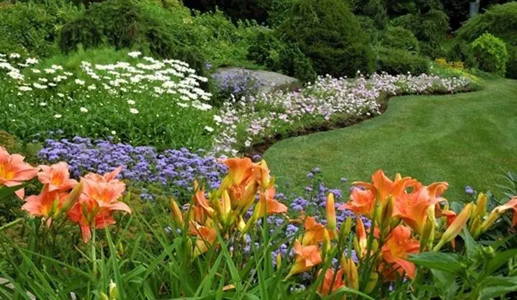Flores de la frontera - Consejos para mi huerto
