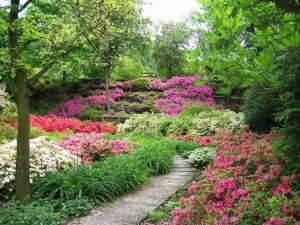 imagenes de jardines de flores